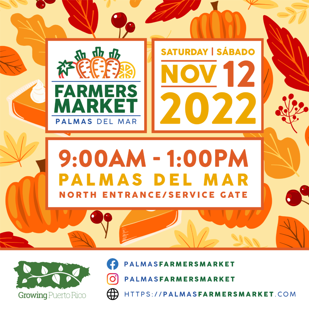 Palmas Farmers Market 12 November 2022 square post