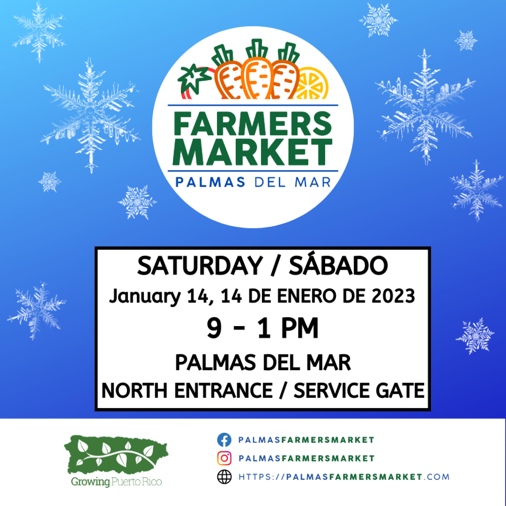 Palmas Farmers Market 2023 January 14 square
