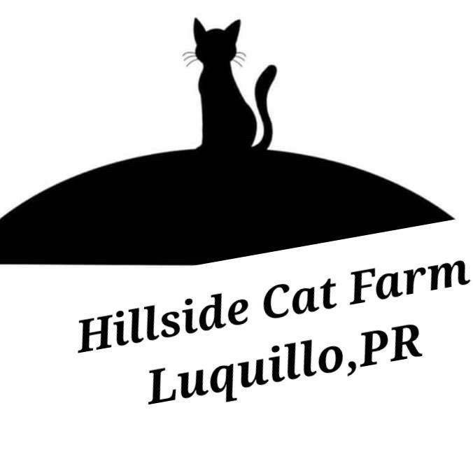 Hillside Cat Farm Luquillo, Puerto Rico logo