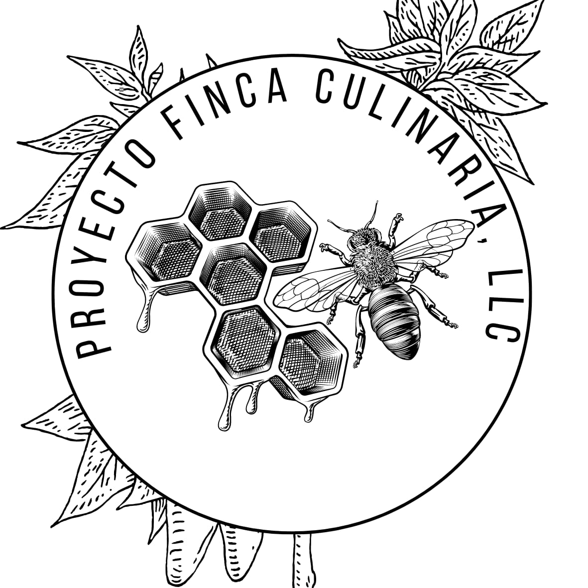 Proyecto Finca Culinaria logo