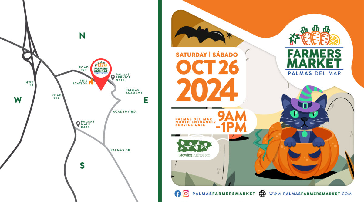 Palmas Farmers Market 2024 October 26 Halloween promo