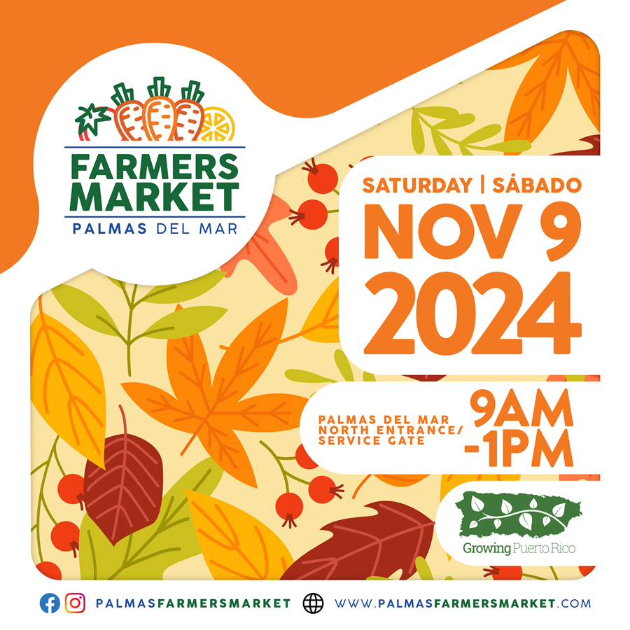 Palmas Farmers Market 2024 November 9 promo