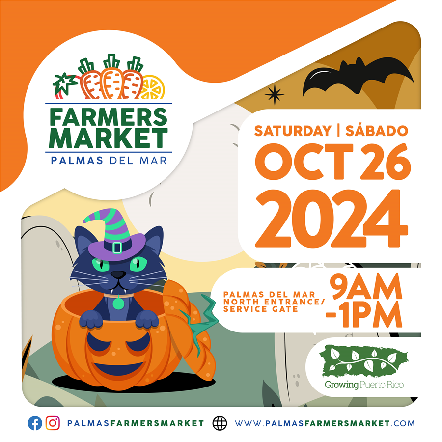 Palmas Farmers Market 2024 October 26 Halloween cat promo